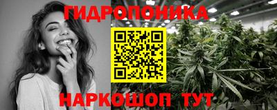 гидропоника Пугачёв